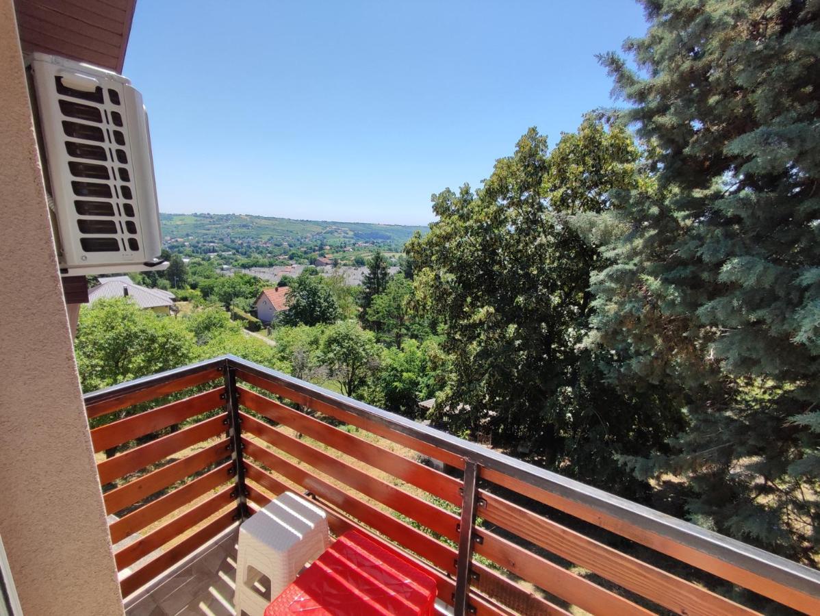 Milicin Konak Vrdnik Exterior foto